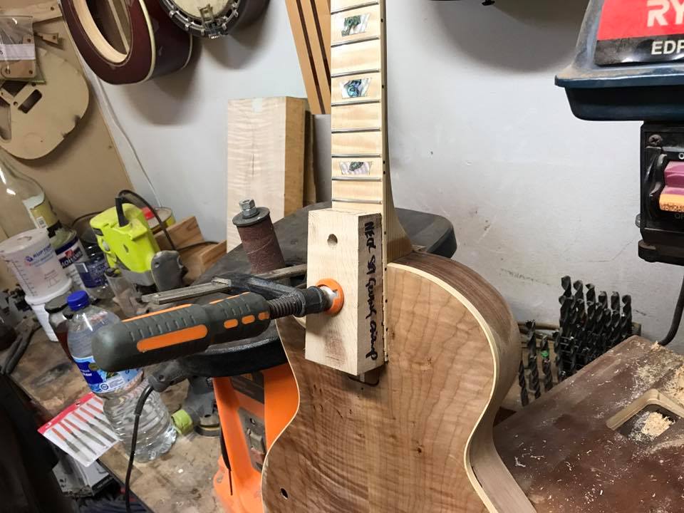 Alex Flower LH LP Neck Fit