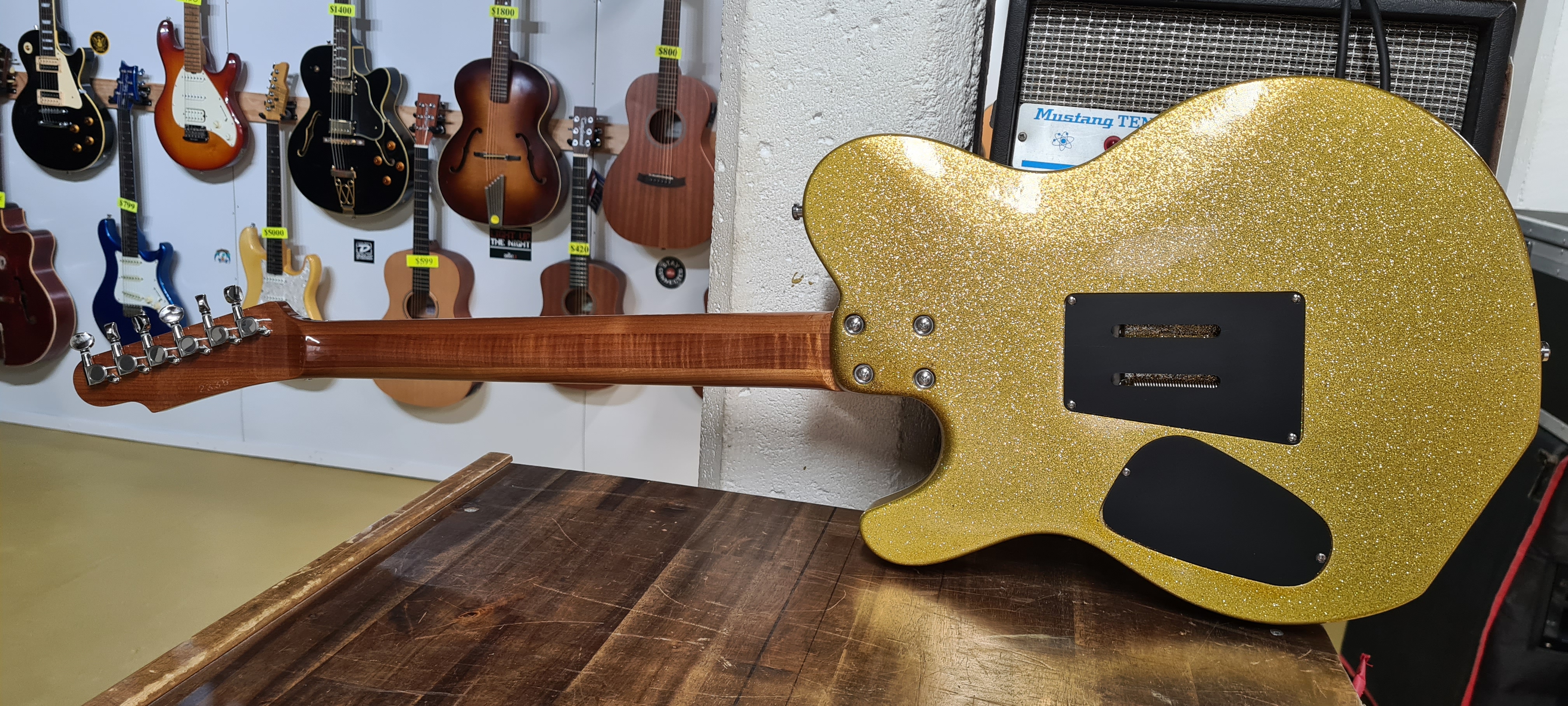 Rockpig Summit Custom Rear View