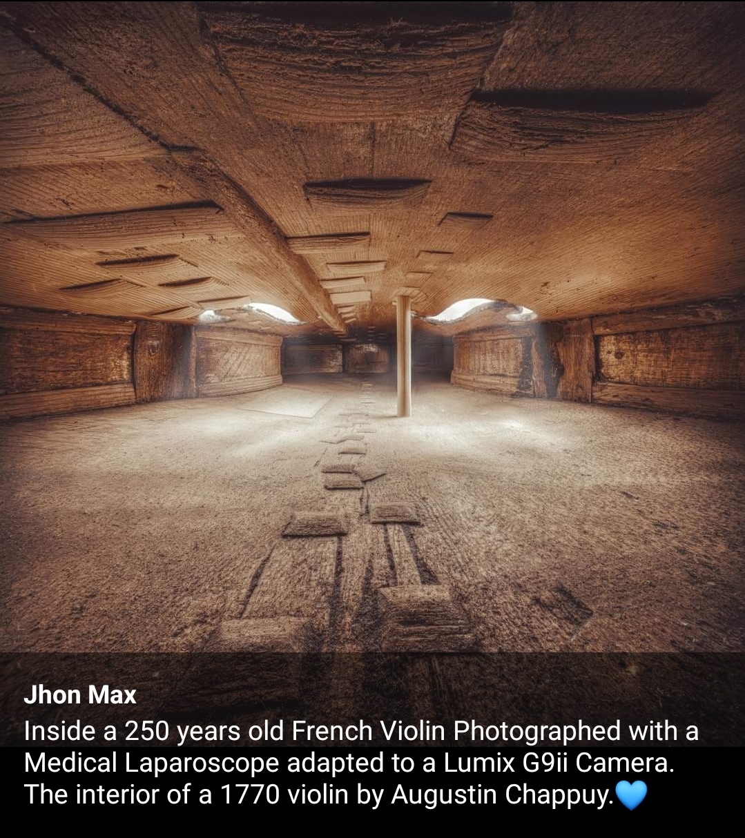 Voilin Internal Shot