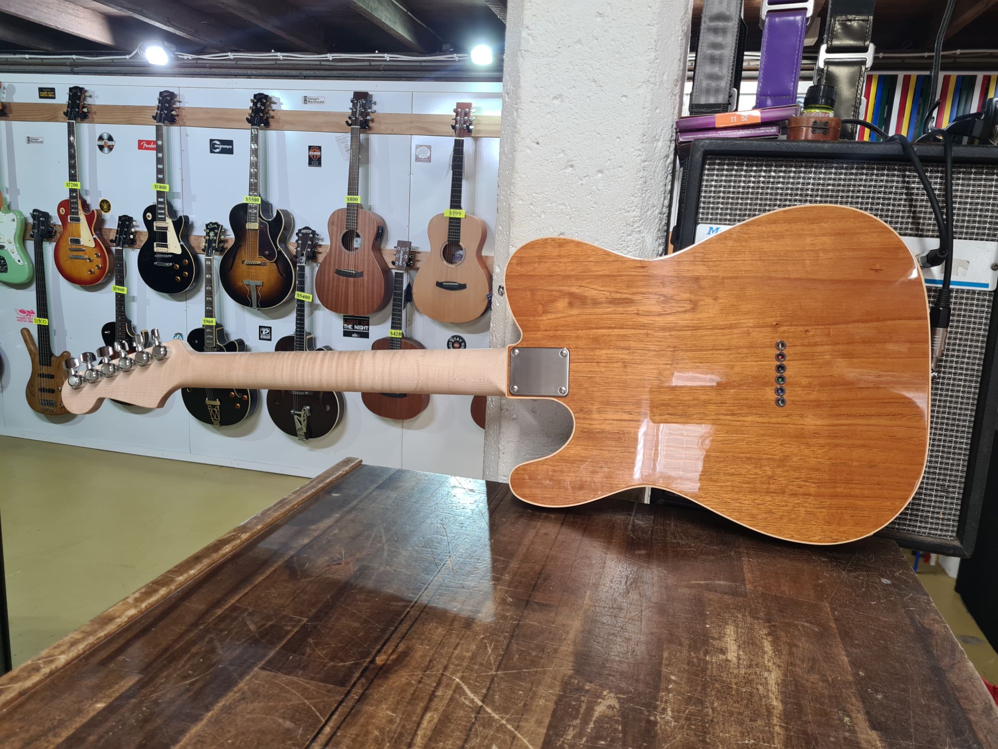 Tele Custom Build Back View