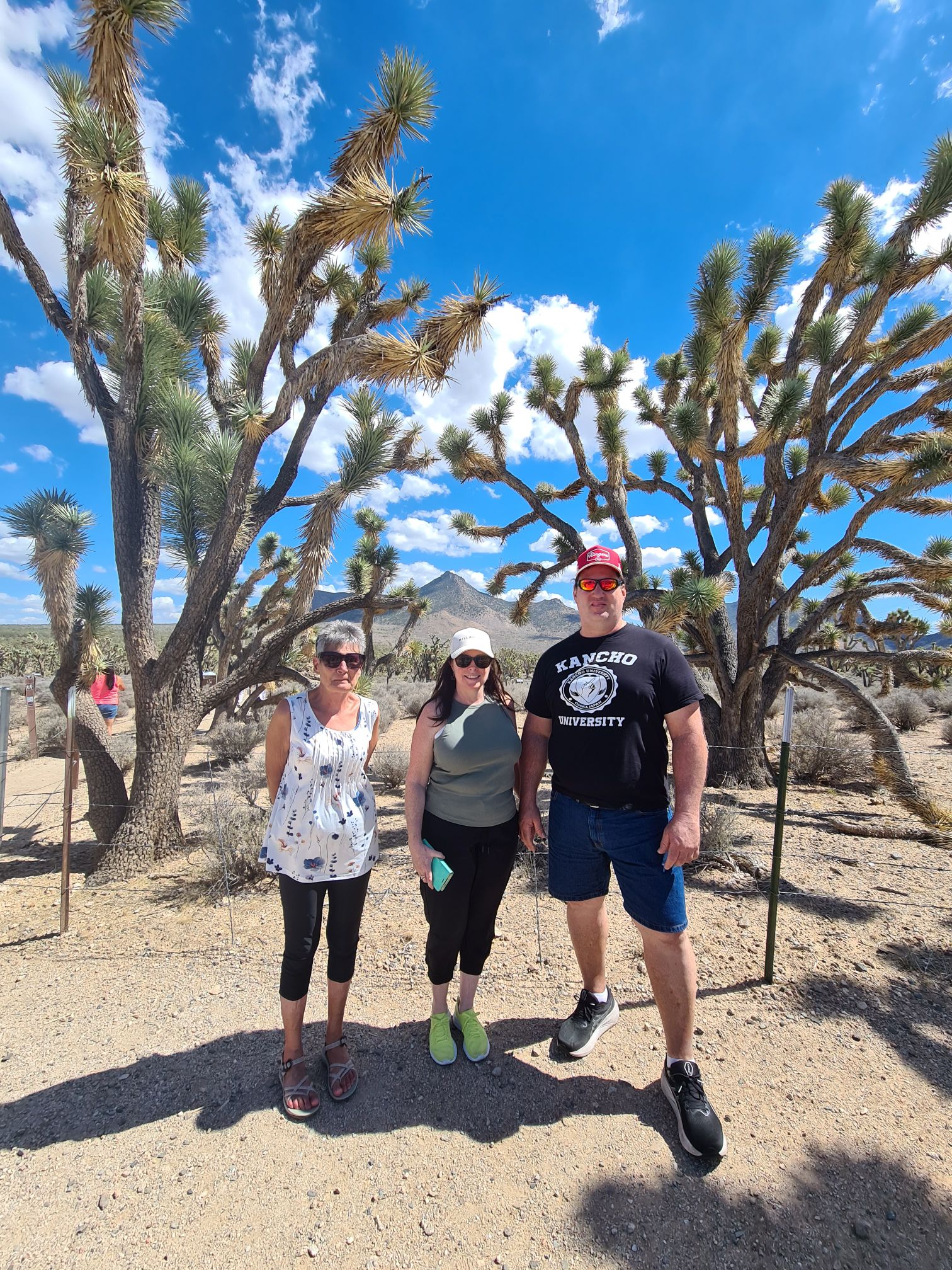 Joshua Tree Park Arizona September 2025